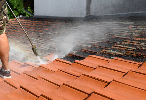 Park Ridge, IL Pressure Washing Company