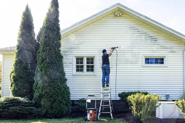 Best Roof Power Washing Services  in Park Ridge, IL