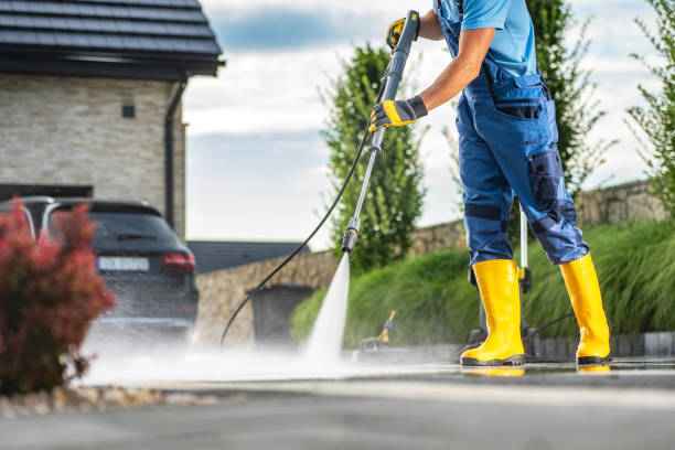 Best House Pressure Washing  in Park Ridge, IL