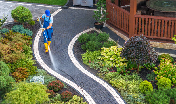 Best Deck Pressure Washing  in Park Ridge, IL